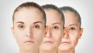 Calorie restriction may slow aging by taming immune protein C3