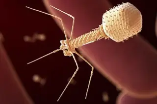 Radical Numerics Reports First Human Administration of AI-Designed Phage Therapy