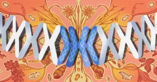Genome Doubling: Evolution’s High-Stakes Gamble