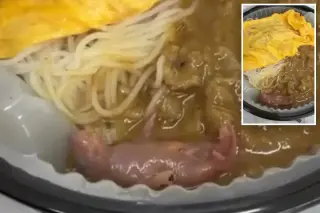 Newborn rat found in Hong Kong takeaway sparks health investigation