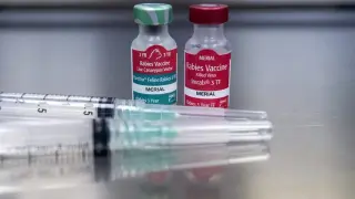 Rabies-confirmed beaver attack prompts health alert at New Jersey lake