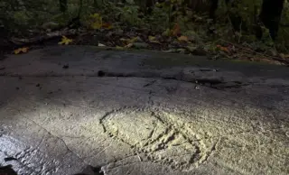 Roadside Find Reveals 3,000-Year-Old Bronze Age Rock Carvings Near Oslo