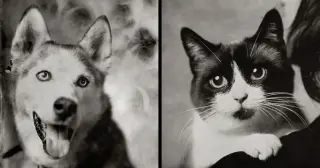Pets Seek Longer Lives Through Rapamycin and DIY Longevity Trends