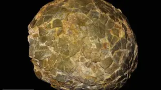 Giant titanosaurs nested at high southern latitudes, new eggs reveal