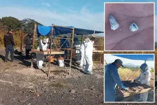 Volunteers Recover 1,600 Baby Teeth in Mexican Mass Grave as Officials Deny Knowledge