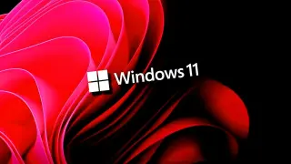 Windows 11 KB Update Triggers Backup Failures Due to VSS Timeouts