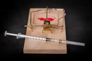 New Mouse and Human Data Suggest GLP-1 Drugs May Slow Biological Aging