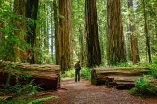 Lonely Planet’s 2027 Travel Guide Highlights Seven U.S. Destinations and Global Experiences
