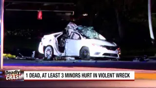 Deerfield Beach crash leaves 1 dead, several injured including children