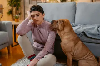 The hidden side of pet ownership: when companionship comes with stress