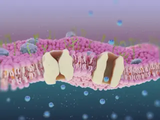 New Peptide and Antibody Approaches Target Sodium Channels to Silence Neuropathic Pain