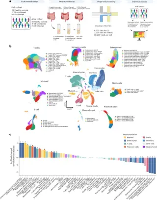 Single-cell atlas maps Crohn’s disease drivers in ileal tissue