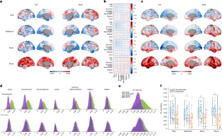 Psilocybin reshapes brain dynamics to mirror context and cue lasting change