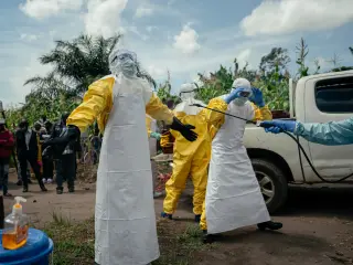 New animal-to-human spillover sparks record Ebola outbreak in the DRC, study finds