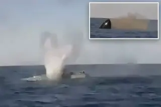 Ukraine-Russia claim first-ever naval drone duel as sea footage circulates
