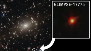 Webb data tie mysterious red dots to black-hole–bound stars
