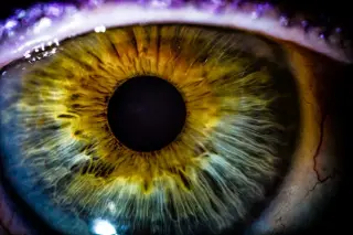 Epigenetic Rejuvenation in the Eye Sets Stage for Reversing Blindness
