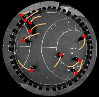 Humans Instinctively Turn Counterclockwise When Changing Direction, New Study Finds