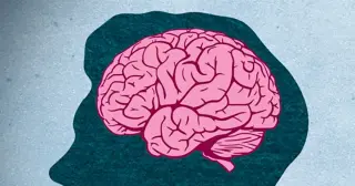 Brain Care Score Gives People a Personal Plan to Cut Dementia Risk