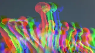 One Psilocybin Dose May Deliver Months of Depression Relief