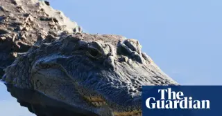 Florida Fisherman Killed by 12-Foot Alligator in Rare Attack