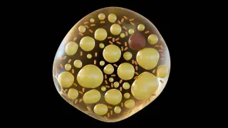 Losartan may activate brown fat, linking metabolic and mental health