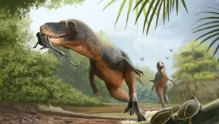 Ancient Aquatic Bird Feathers Unearthed Inside 66-Million-Year-Old Dinosaur Coprolite