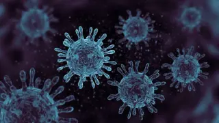 AI designs 16 novel viruses from DNA patterns learned across trillions of nucleotides