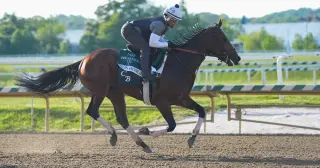 Iron Honor Headlines 14-Horse Preakness Field at Laurel Park