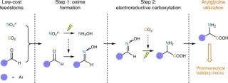 New electrochemical method converts CO2 and nitrite into high-value arylglycines