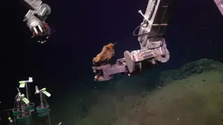 Lab Tests Reveal Deep-Sea Mining Rocks Can Ignite Spontaneously