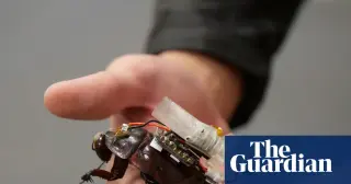 Cyborg cockroaches could deliver emergency aid in collapsed buildings