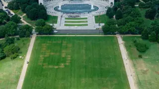 National Mall Graffiti: 8647 Etched into Grass Triggers Police Probe