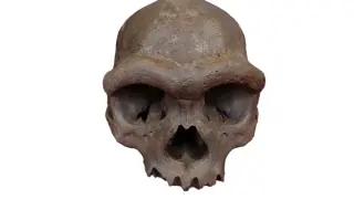 China's Bianfu Cave yields Denisovan fossils, widening their Asian footprint