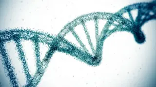 One-time gene edit slashes bad cholesterol for over a year