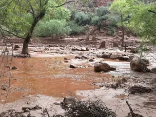 Grand Canyon flash flood leaves about 15 missing, dozens evacuated