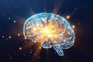 Exercise May Boost the Brain’s Nightly Cleaning Crew