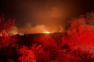 Ross Fire roars through North Texas, scorching about 85,000 acres in three days