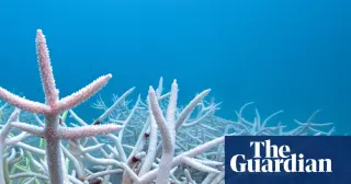 Oceans Absorb Record Heat, Accelerating Sea Level Rise and Ecosystem Collapse