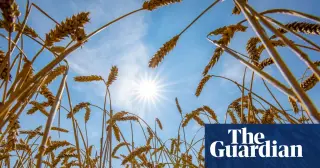 Heat at the brink: UN warns global food systems face widening crisis