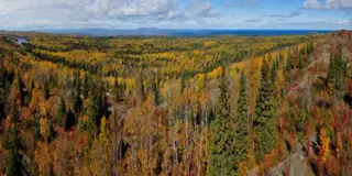 Seventy-year-old hiker located alive on Isle Royale after days missing