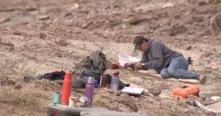 Utah paleontologists uncover four dinosaur species at new bonebed as veteran scientist prepares to retire