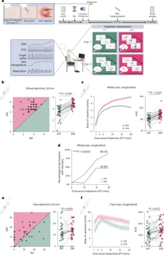Focused attention on bodily sensations dampens acute inflammation via brain–body pathways