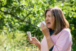 Climate Change Linked to Rising Allergy Severity in New Study
