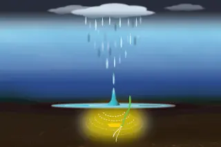 Rain sounds wake seeds to sprout faster, MIT study shows