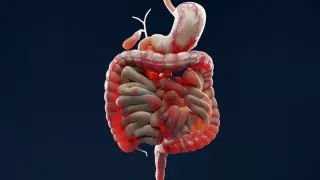 Genetic Variant Tied to IBD Drives Disease via IL-10–Neutralizing Antibodies
