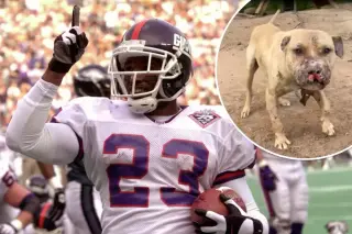 Ex-NFL Running Back LeShon Johnson Sentenced to Five Years in Dog-Fighting Ring Case