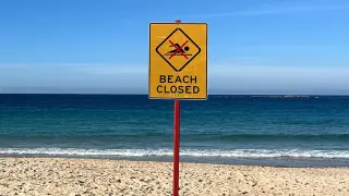 Sydney teacher fights off four-metre shark with a left hook