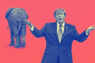 GOP Candidates Distance Themselves from Trump as Midterm Polls Turn Grim