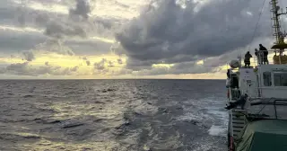 Nikumaroro Expedition Concludes: 'Taraia Object' Identified as Tree Debris, Not Earhart Wreckage